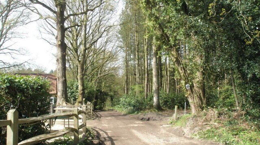 Track towards Tyeland Farm