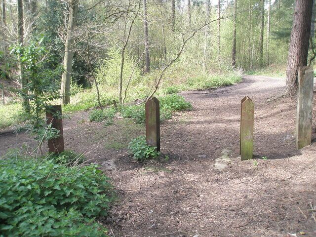 Posts within Midhurst Common