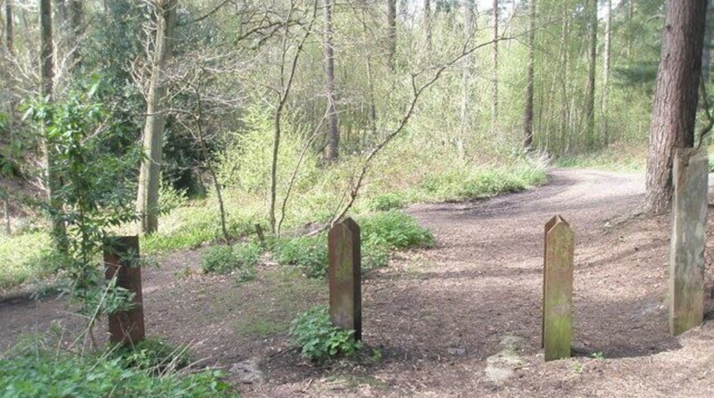 Posts within Midhurst Common
