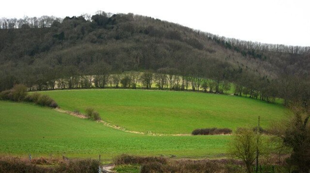 View from St Mary's churchyard, Bepton