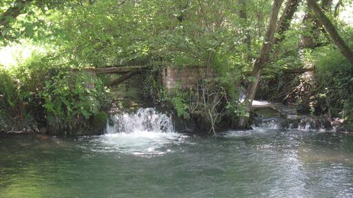 Weir on Costers Brook (probably the remains of a mill)