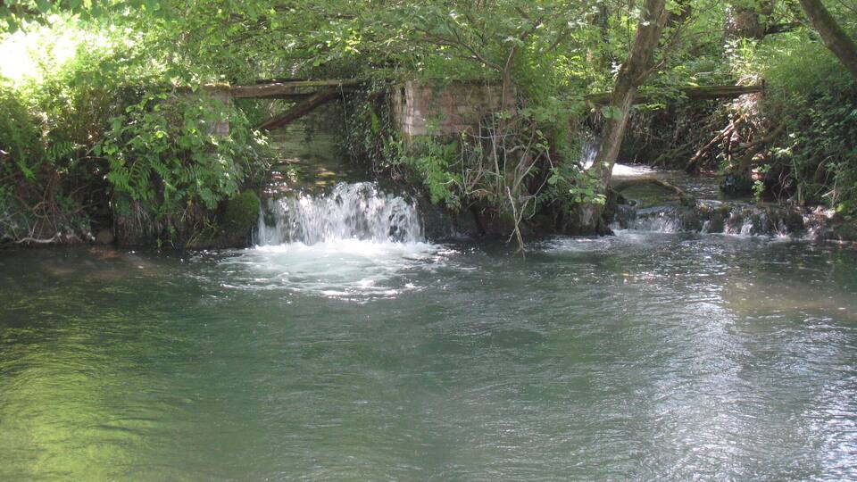 A small waterfall in a forested area with a bridge in the background.