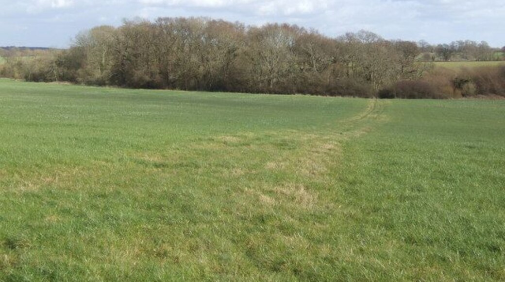 Bridleway across the field Beyond these woods the path becomes Minching Lane on its way east to Midhurst.