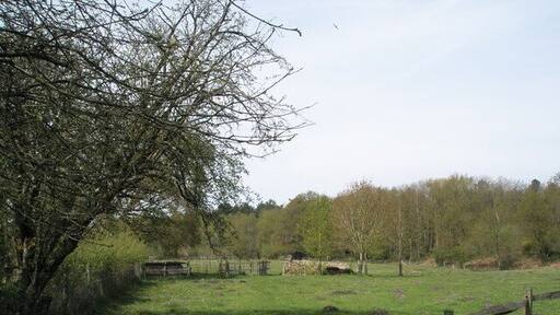 Field just behind Severals Road
