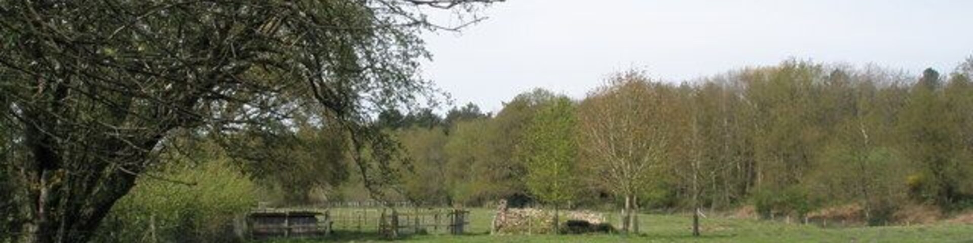 Field just behind Severals Road