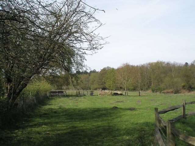 A grassy field with a wooden fence, a leafless tree, and a distant building.