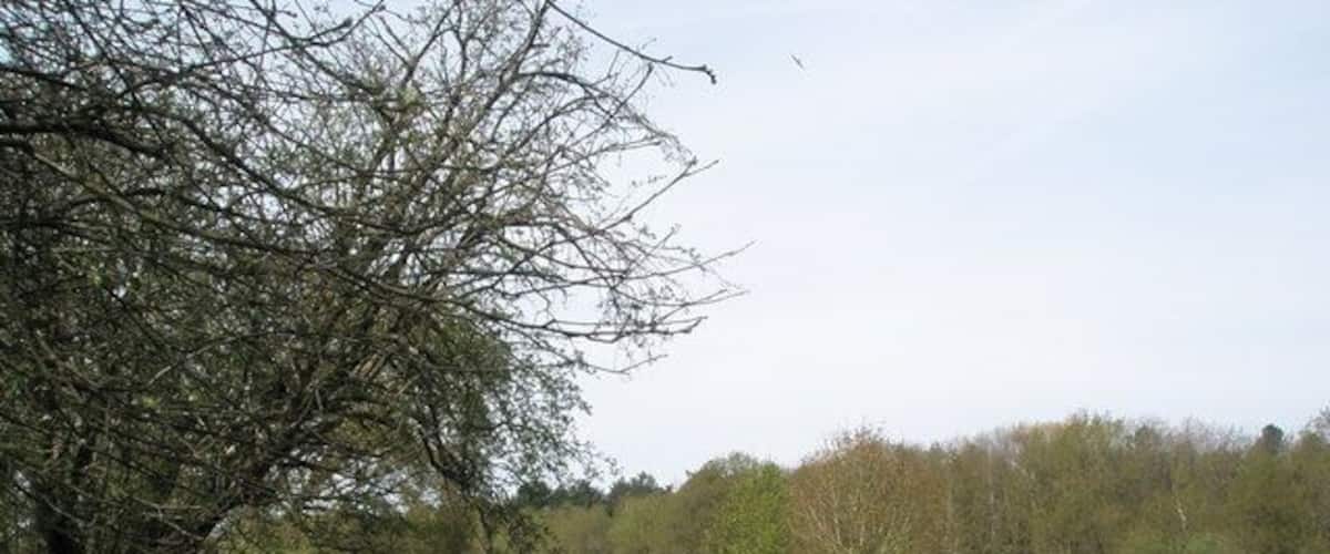 A grassy field with a wooden fence, a leafless tree, and a distant building.