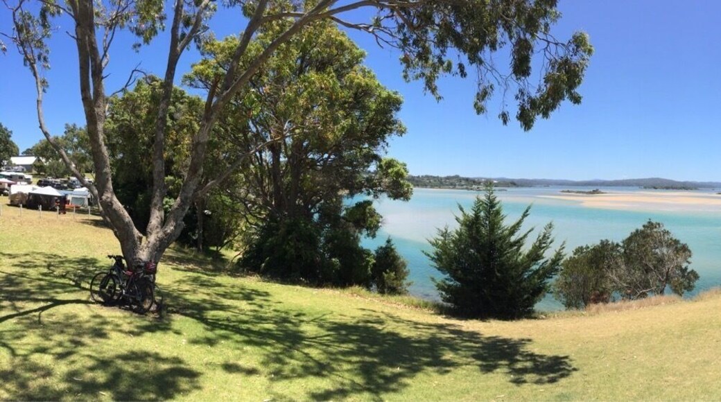 Beautiful river mouth, spectacular drive, forget sandy point in croajingolong np