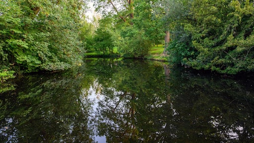 The Knoll, a small park in Hayes, Kent, UK. Reflections on the water of a small lake or pond with trees in The Knoll park. Hayes is in the Borough of Bromley in Greater London.