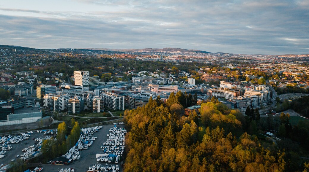 The South Norwegian town Skoyen