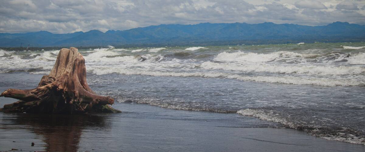 A weathered tree stump on a beach with waves crashing in the background and mountains in the distance.
