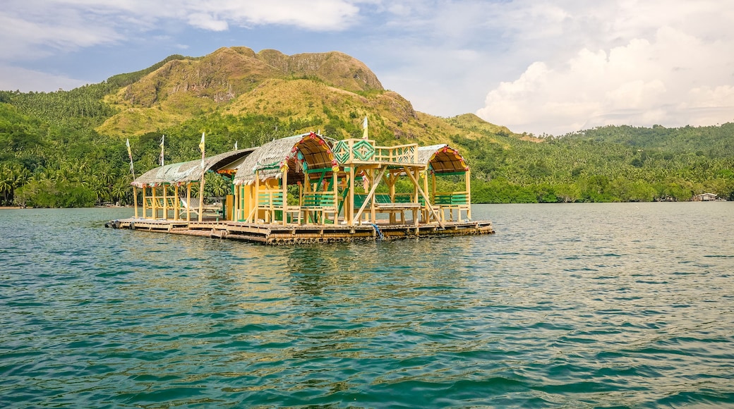 Tropical Lake in the Philippines