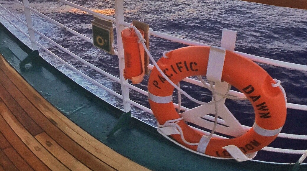 What an awesome week we've had on the #PacificDawn with @pocruises! From Noumea to Lifou and then Vanuatu we've had a great time cruising the South Pacific. What really impressed us was how much we enjoyed the days at sea as much as the days exploring the islands. There's a heap of activities on board to fill the time or you can just spend them lazing around! We're already looking at our next cruise and an even bigger trip! 🚢☀️🐠🌴😀
#pocruises #likenoplaceonearth #olloclip #vanuatu