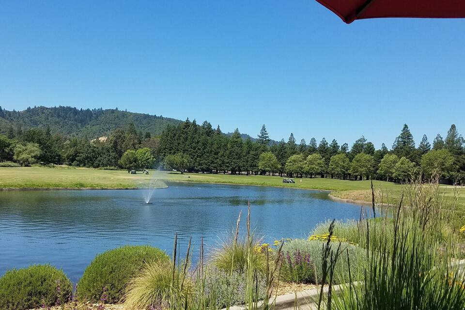 A lake with a fountain, surrounded by greenery and trees.
