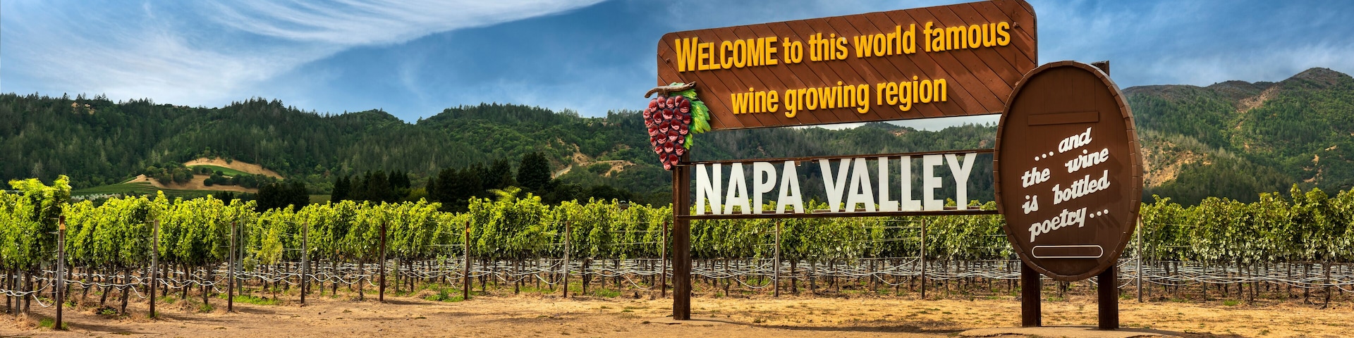 A vineyard with a sign that reads "Welcome to this world famous wine growing region Napa Valley."