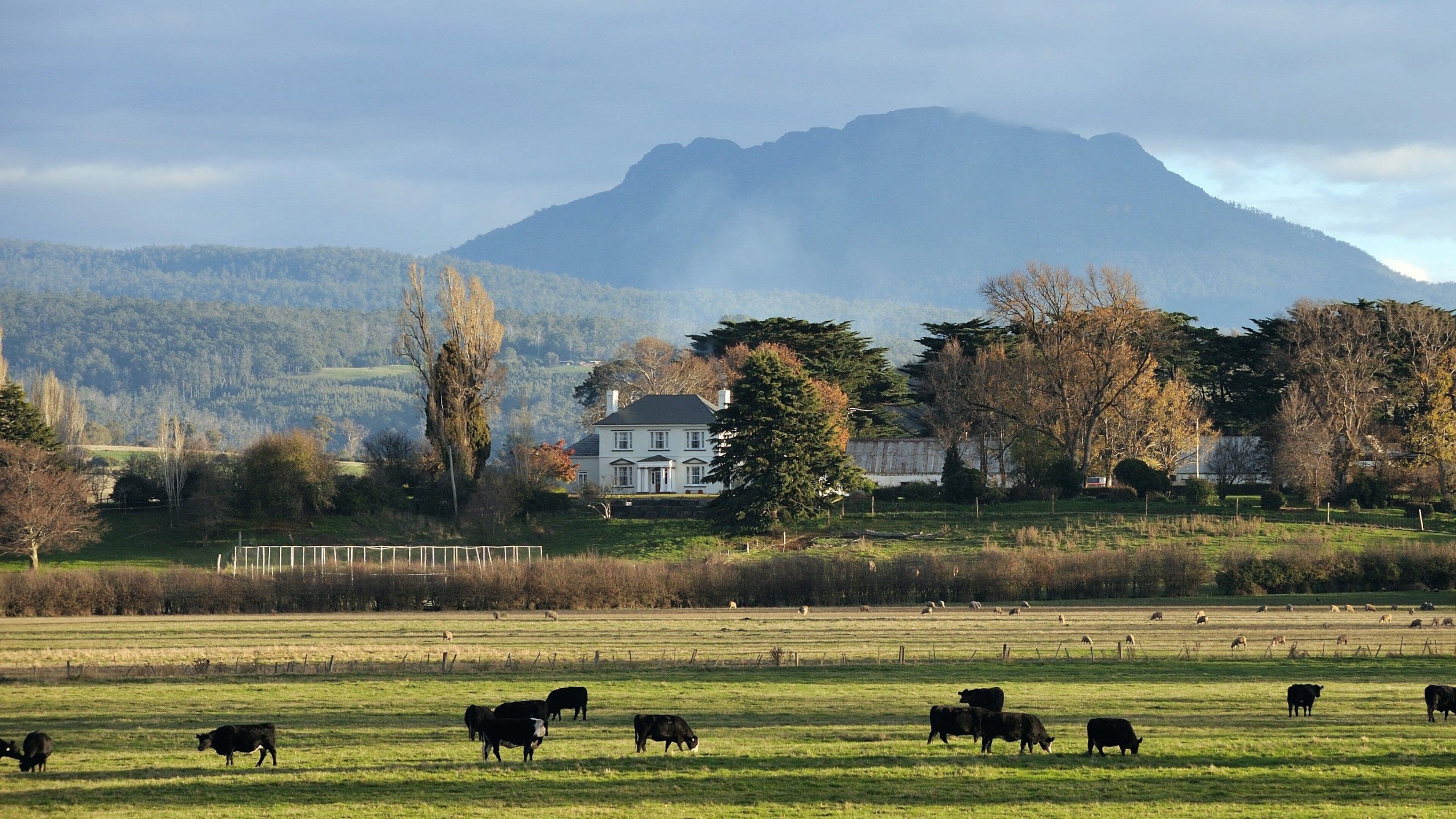 Devonport featuring a house, farmland and tranquil scenes