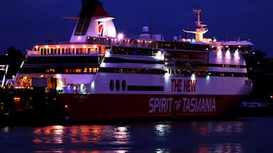 Un gran crucero llamado 'The New Spirit of Tasmania' amarrado durante la noche.