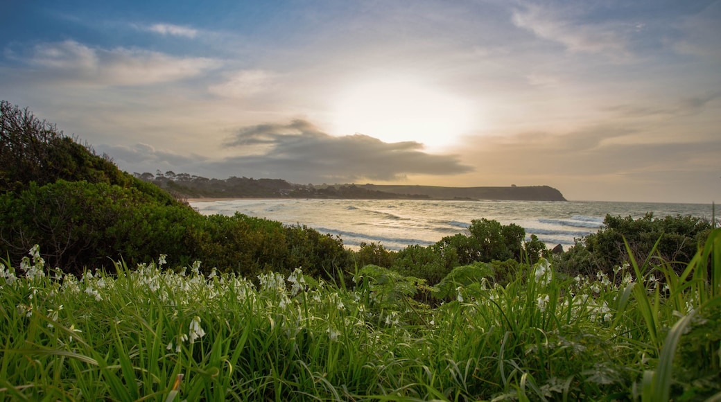 Devonport showing general coastal views and a sunset