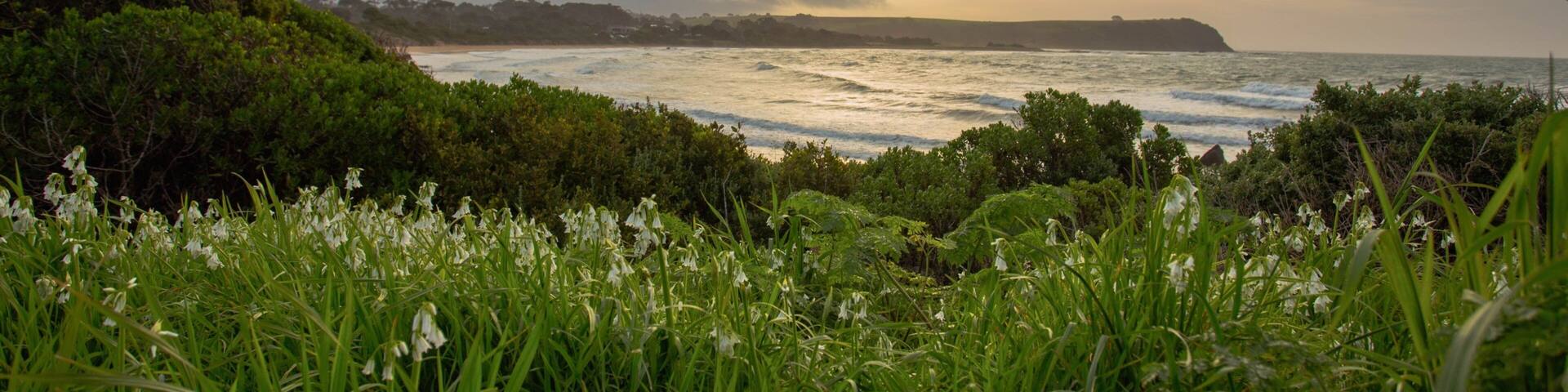 Devonport showing general coastal views and a sunset