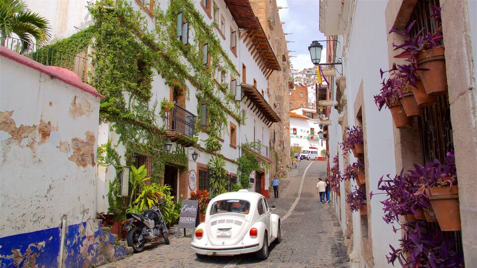 A narrow cobblestone street flanked by buildings with ivy-covered walls and potted plants.