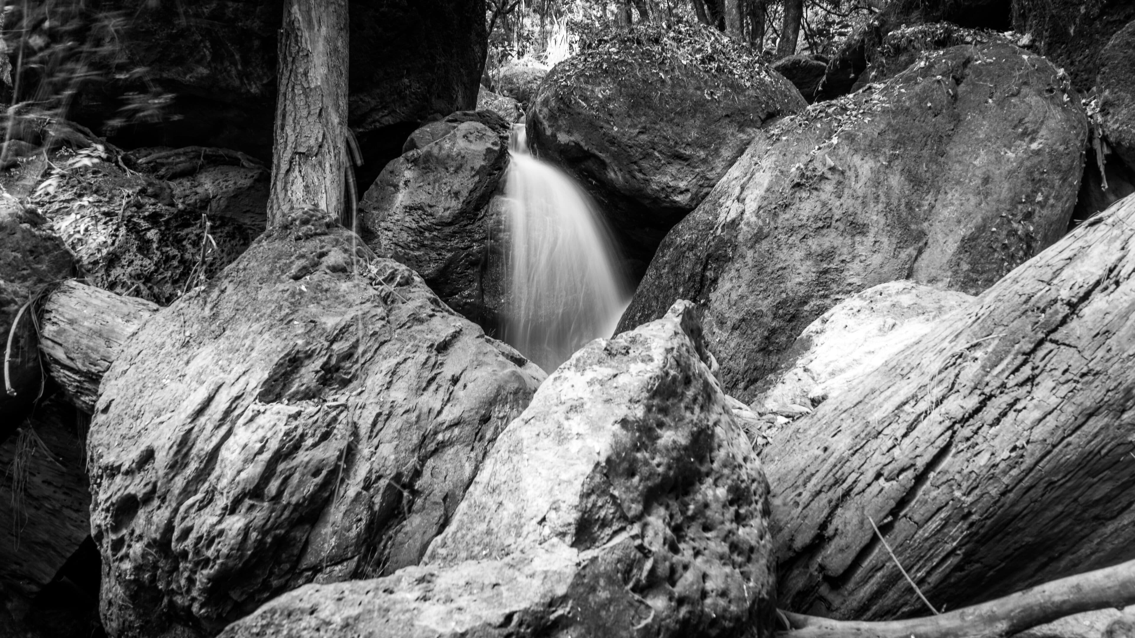 Anal Steam in Avándaro