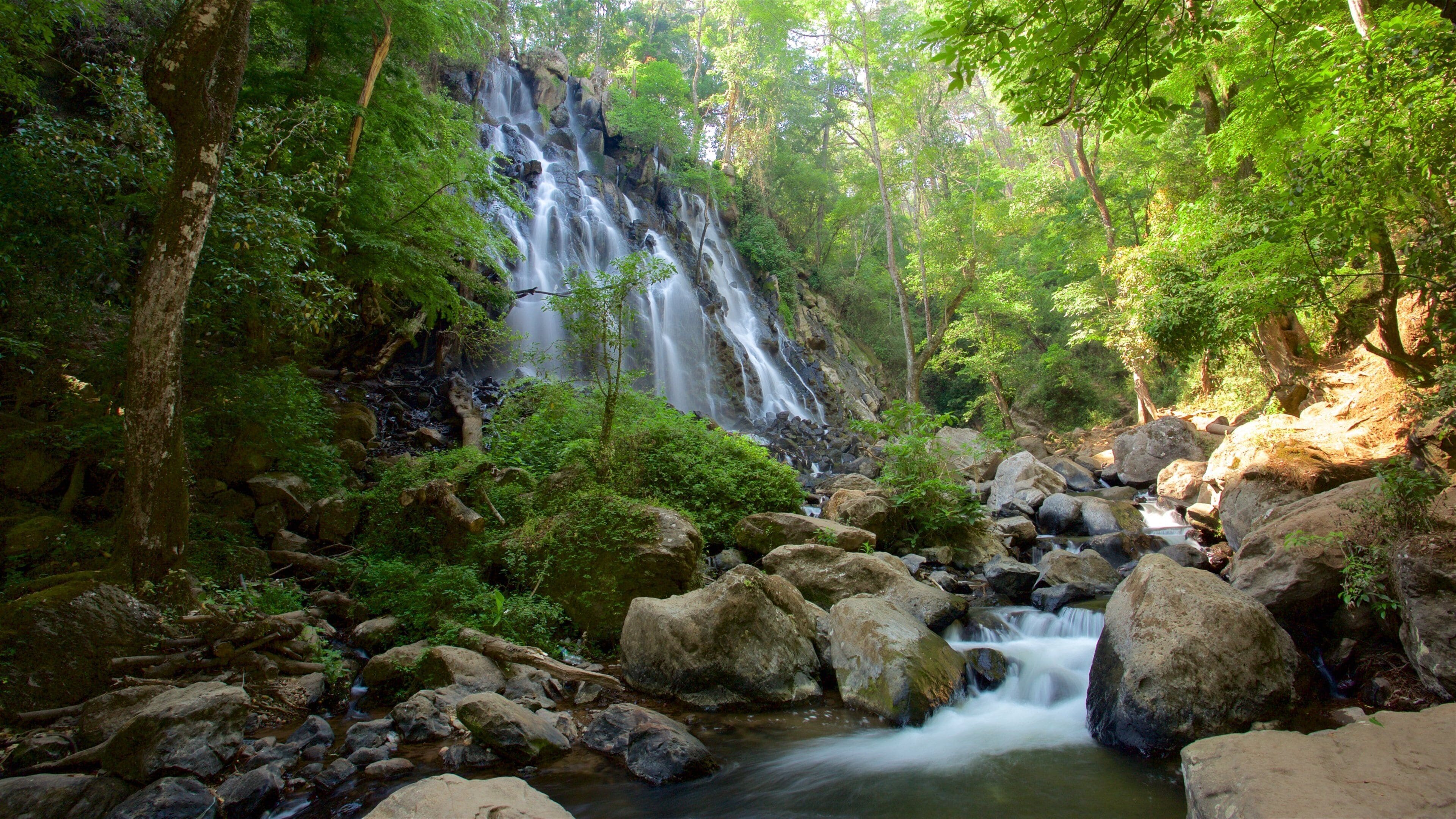 Valle de Bravo showing a waterfall, forest scenes and a river or creek