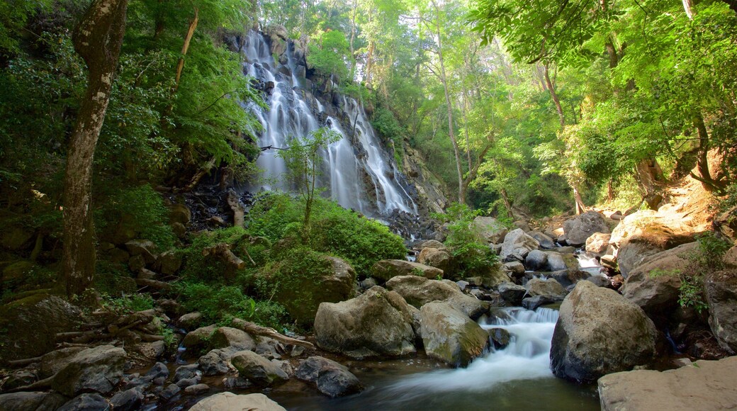 Valle de Bravo showing a waterfall, forest scenes and a river or creek