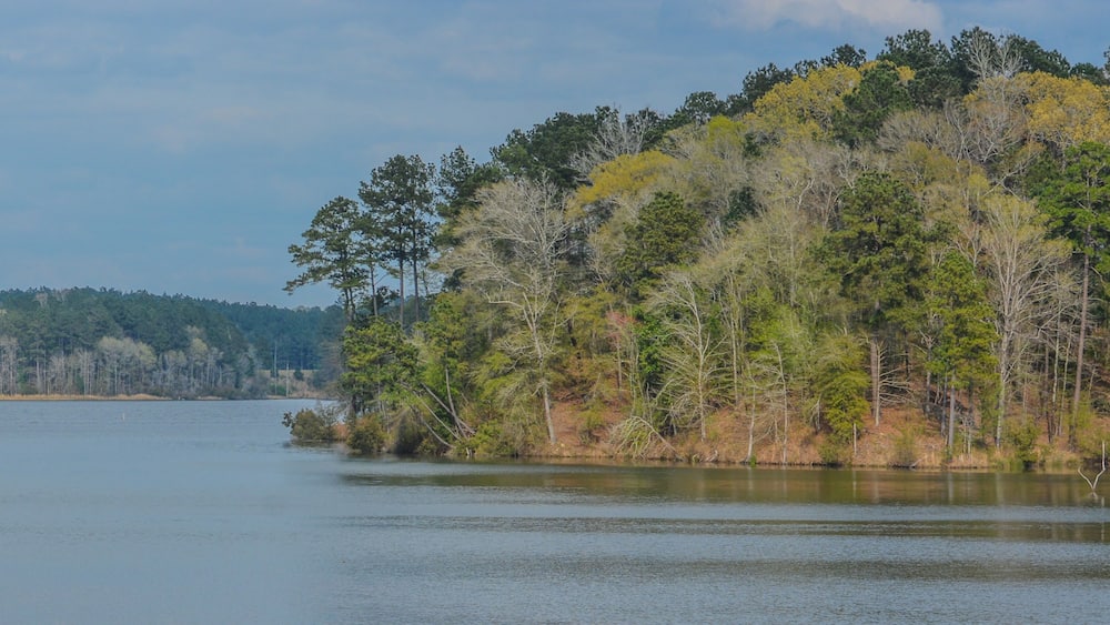 A calm lake surrounded by a forested hill with dense trees and a clear sky.