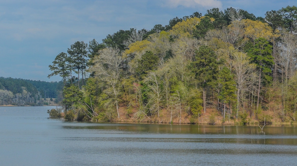 The beautiful view of Okhissa Lake in Homochitto National Forest, Bude, Franklin County, Mississippi