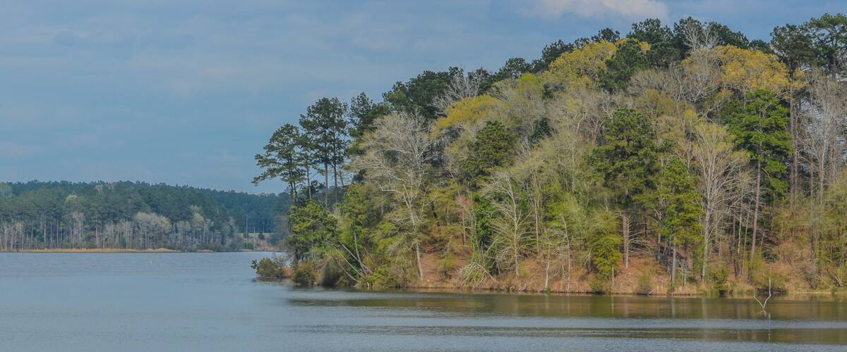 A calm lake surrounded by a forested hill with dense trees and a clear sky.