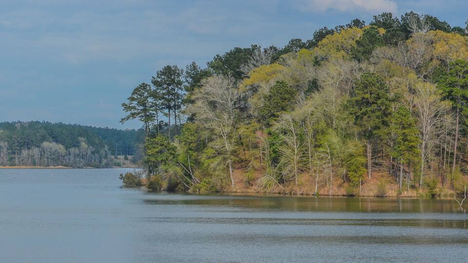 A calm lake surrounded by a forested hill with dense trees and a clear sky.