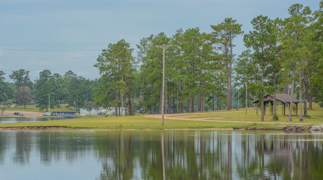 View of Geiger Lake in the wilderness of Pine Belt Region of Hattiesburg, Mississippi