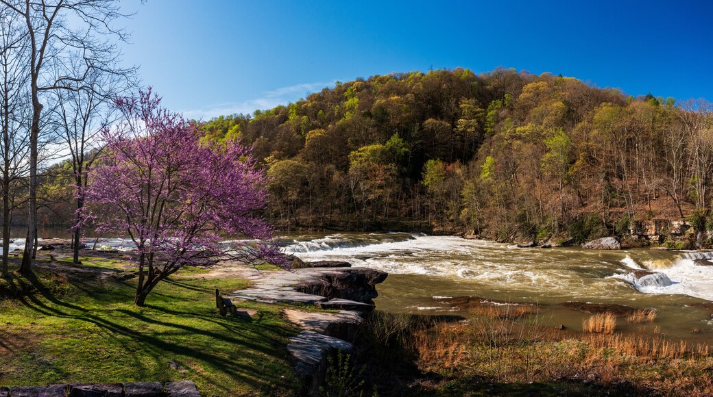 Valley Falls State Park near Fairmont in West Virginia on a colorful and bright spring day with redbud blossoms on the trees