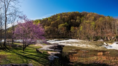 Valley Falls State Park near Fairmont in West Virginia on a colorful and bright spring day with redbud blossoms on the trees