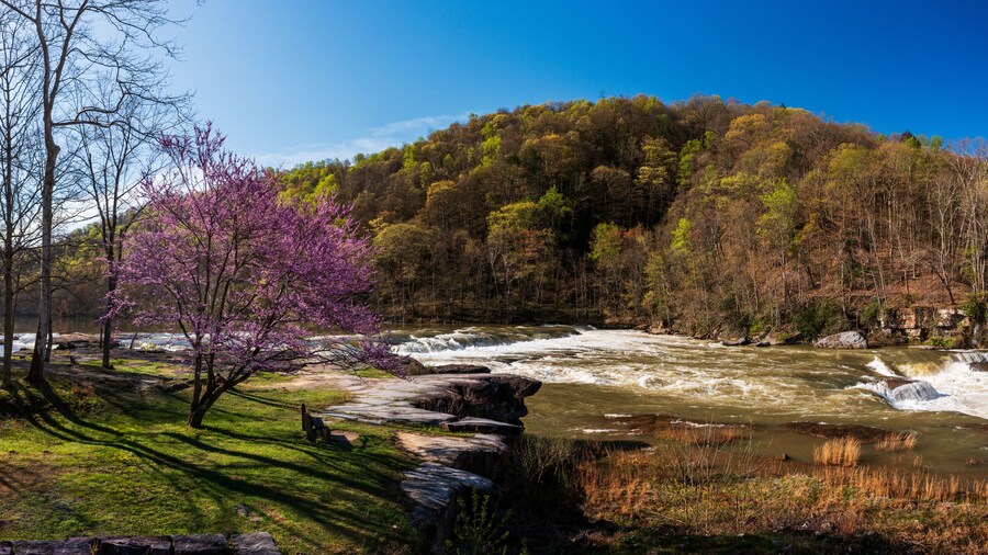 Valley Falls State Park near Fairmont in West Virginia on a colorful and bright spring day with redbud blossoms on the trees