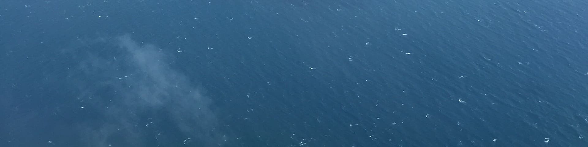 I see you Bali 😍 #beaches #lifeatexpedia