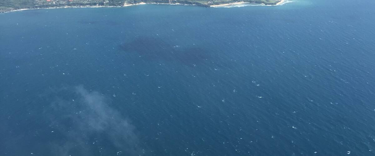 An airplane wing over a coastal landscape with a beach, ocean, and clouds.