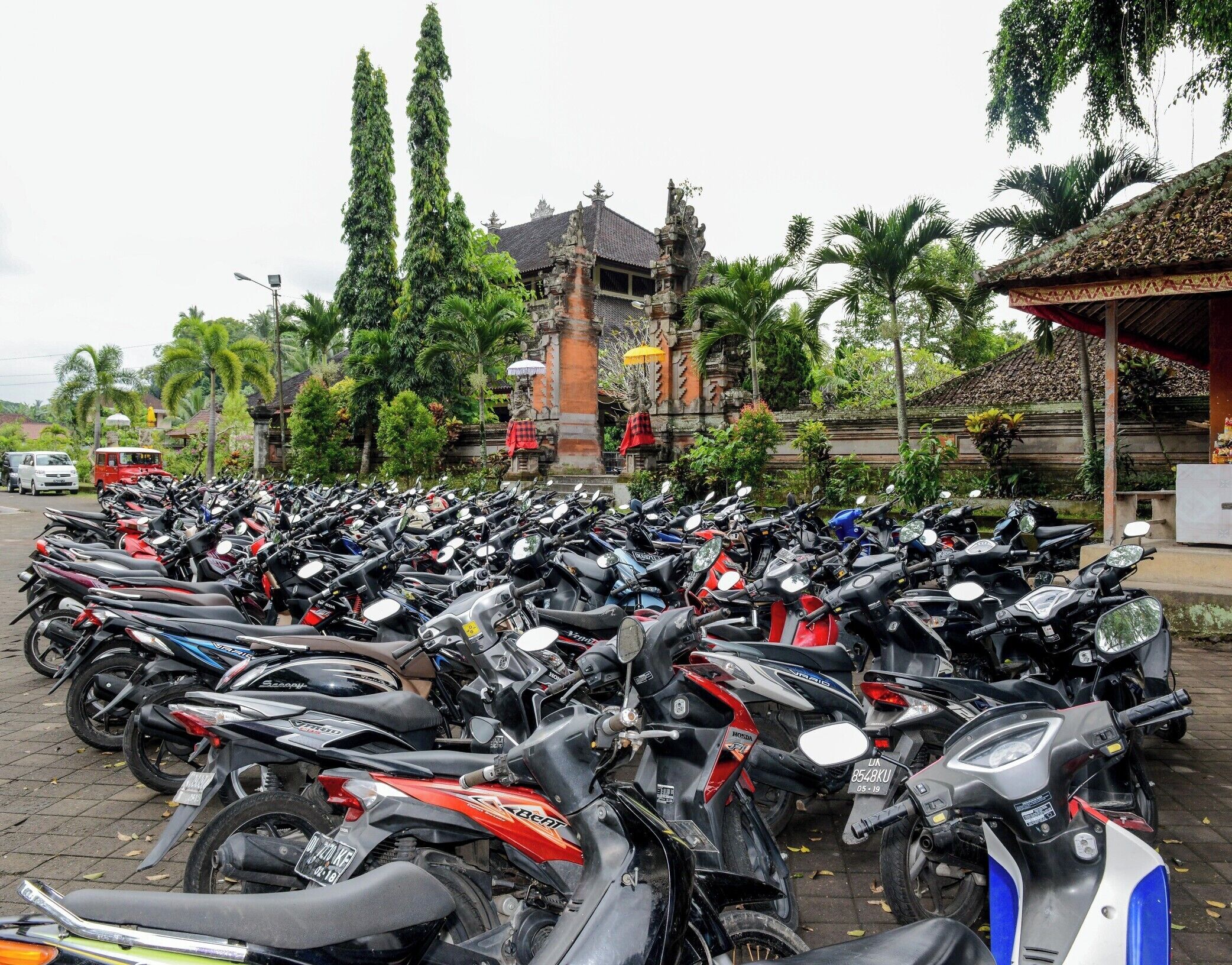 Bali has a  population of over 4 million people, the number of mopeds on Bali’s roads is estimated at well over 1.5 million. 

It is truly chaos to watch them drive around and I would NOT recommend renting a moped to get around. You can hire a taxi driver for the whole day relatively cheap compared to, well... death.