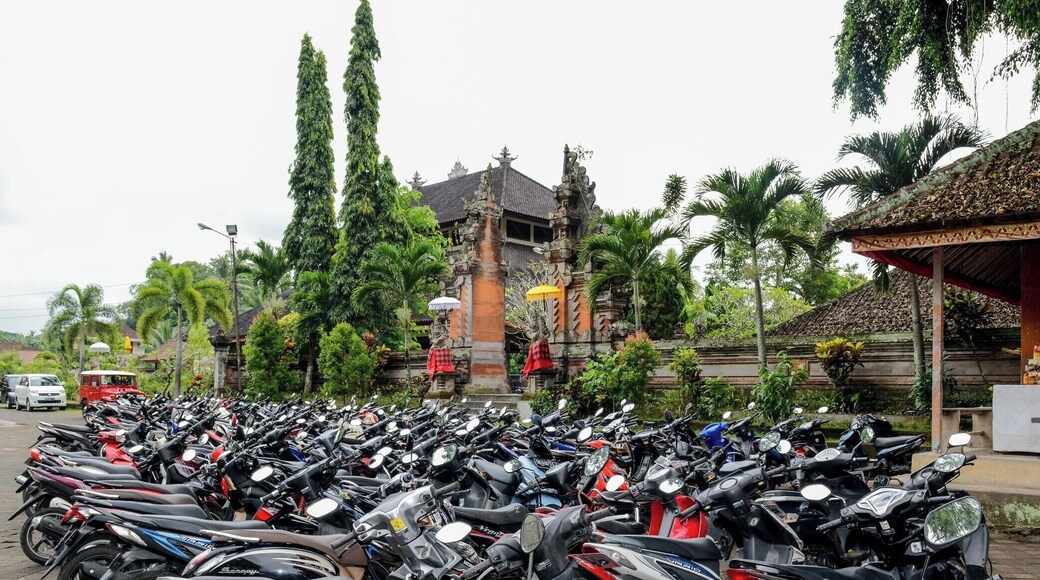 Bali has a population of over 4 million people, the number of mopeds on Bali’s roads is estimated at well over 1.5 million.
It is truly chaos to watch them drive around and I would NOT recommend renting a moped to get around. You can hire a taxi driver for the whole day relatively cheap compared to, well... death.