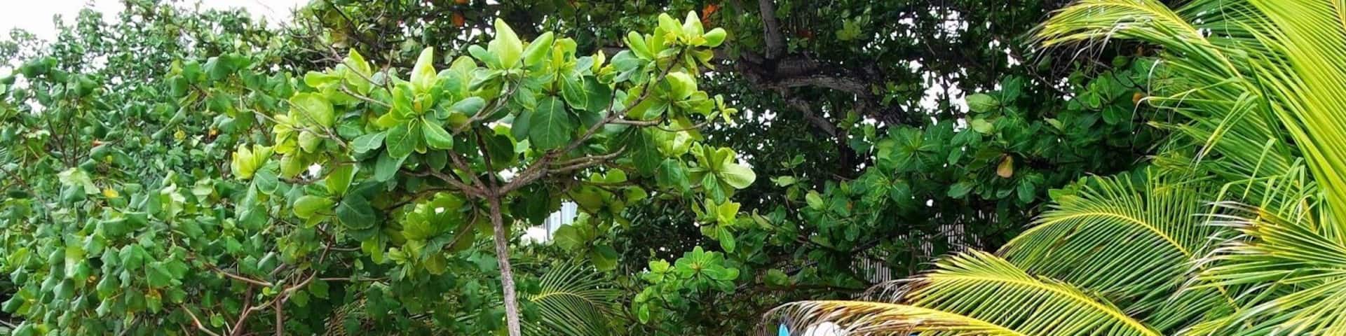 Check this recent post of mine on my blog: http://ginnywhowanders.blogspot.com/2015/04/bali-day-2.html?m=1. #bali #indonesia #travel #ginnywhowanders #wanderlust #travelblogger #adventurer #carginetravels