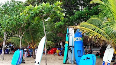 Una playa con varios botes de surf apoyados en árboles y una estructura azul.
