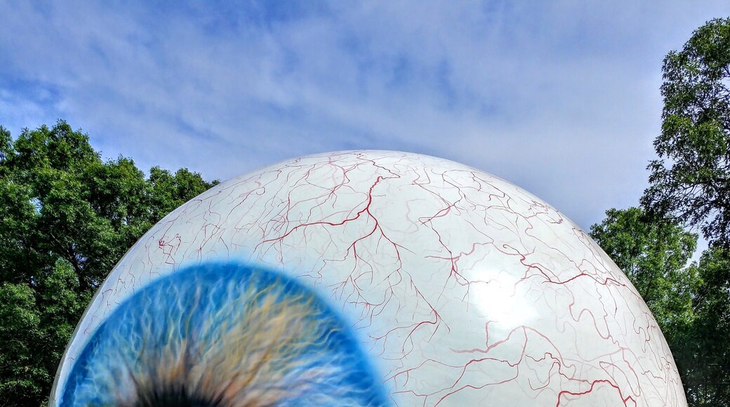 "Eye" - Tony Tasset
Visine gets the red out.
Laumeier Sculpture Park is a 105-acre open-air museum and sculpture park located in Sunset Hills, Missouri, near St. Louis and is maintained in partnership with St. Louis County Parks and Recreation Department. It houses over 60 outdoor sculptures and features a 1.4-mile walking trail.