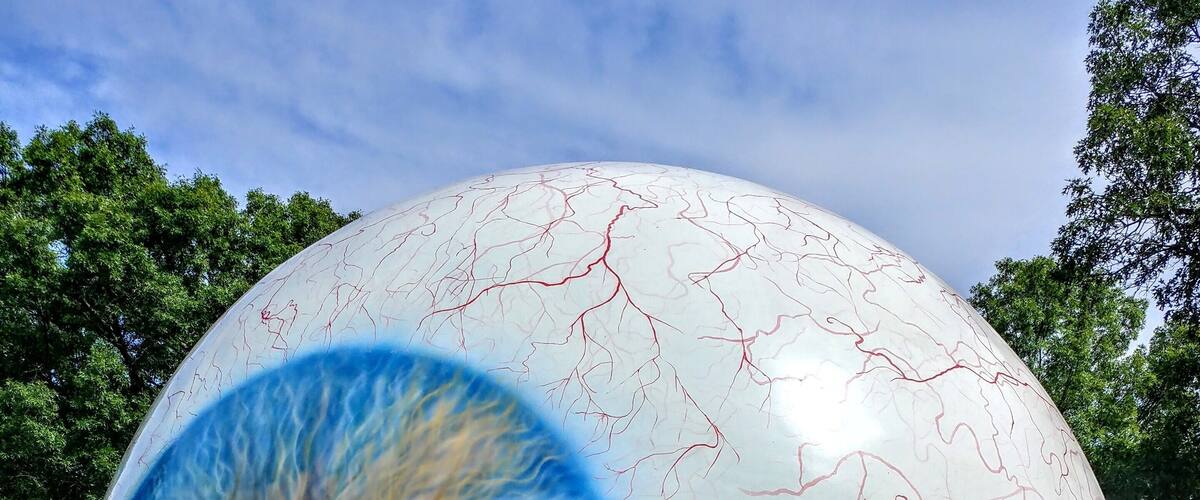 "Eye" - Tony Tasset
Visine gets the red out.
Laumeier Sculpture Park is a 105-acre open-air museum and sculpture park located in Sunset Hills, Missouri, near St. Louis and is maintained in partnership with St. Louis County Parks and Recreation Department. It houses over 60 outdoor sculptures and features a 1.4-mile walking trail.