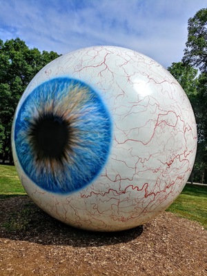 "Eye" - Tony Tasset
Visine gets the red out.
Laumeier Sculpture Park is a 105-acre open-air museum and sculpture park located in Sunset Hills, Missouri, near St. Louis and is maintained in partnership with St. Louis County Parks and Recreation Department. It houses over 60 outdoor sculptures and features a 1.4-mile walking trail.