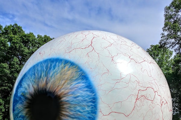 "Eye" - Tony Tasset
Visine gets the red out.
Laumeier Sculpture Park is a 105-acre open-air museum and sculpture park located in Sunset Hills, Missouri, near St. Louis and is maintained in partnership with St. Louis County Parks and Recreation Department. It houses over 60 outdoor sculptures and features a 1.4-mile walking trail.