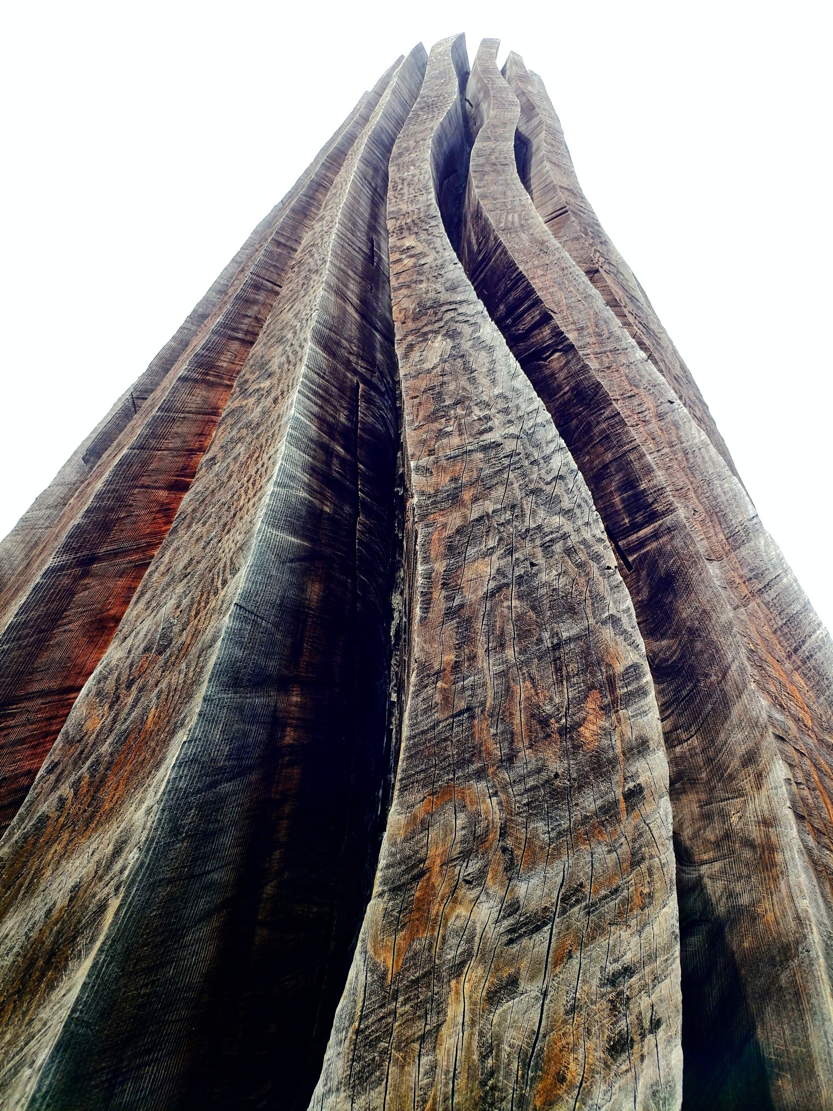 "Redwood I" - Johann Feilacher

Laumeier Sculpture Park is a 105-acre open-air museum and sculpture park located in Sunset Hills, Missouri, near St. Louis and is maintained in partnership with St. Louis County Parks and Recreation Department. It houses over 60 outdoor sculptures and features a 1.4-mile walking trail.