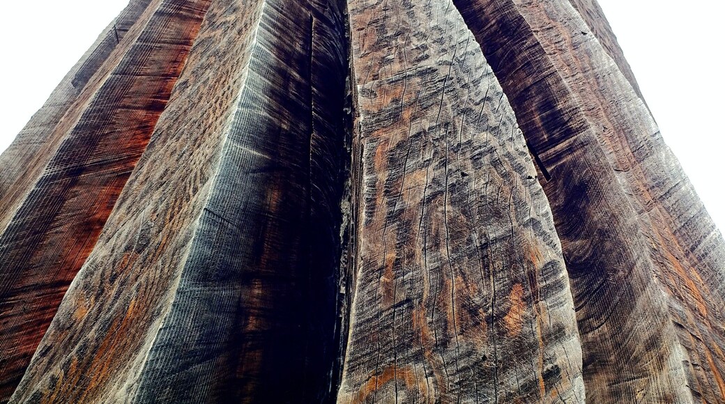 "Redwood I" - Johann Feilacher
Laumeier Sculpture Park is a 105-acre open-air museum and sculpture park located in Sunset Hills, Missouri, near St. Louis and is maintained in partnership with St. Louis County Parks and Recreation Department. It houses over 60 outdoor sculptures and features a 1.4-mile walking trail.