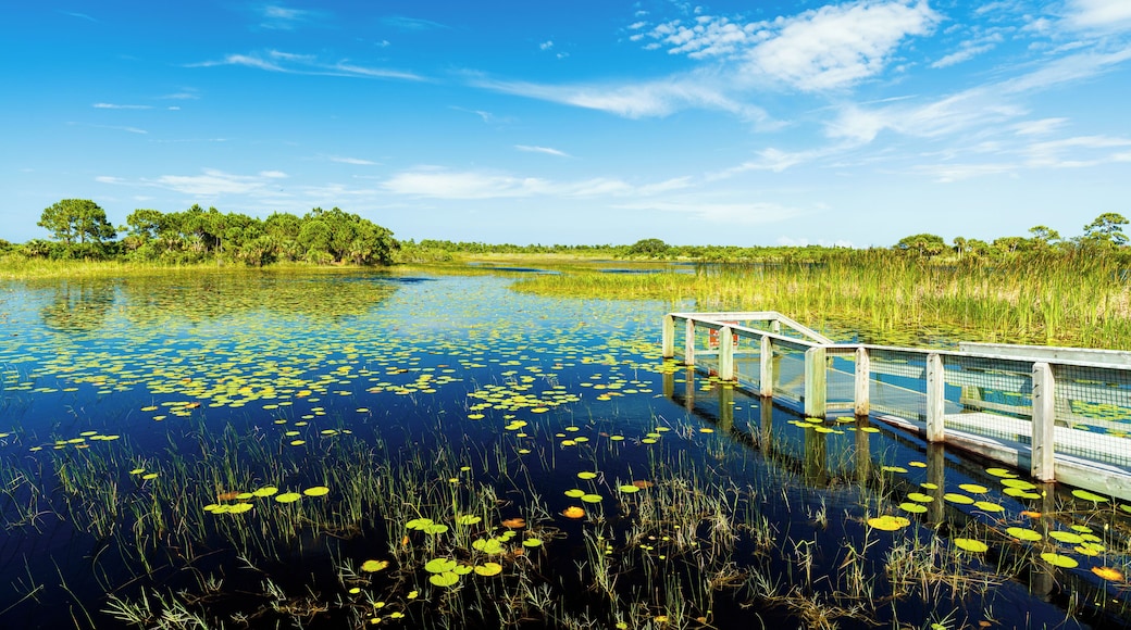 Beautiful nature preserve in Port Saint Lucie Florida.