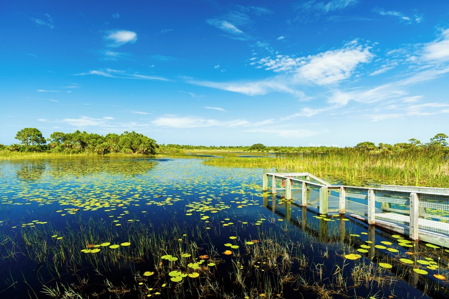 Beautiful nature preserve in Port Saint Lucie Florida.