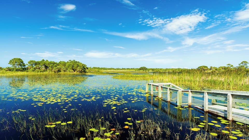 A bridge over a pond with lily pads and surrounded by greenery.